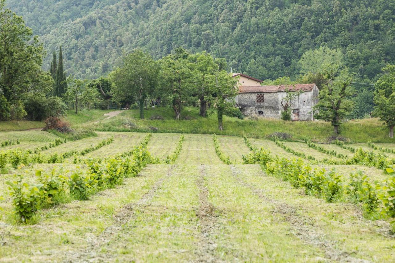 Podere Groppini Фивиццано Экстерьер фото