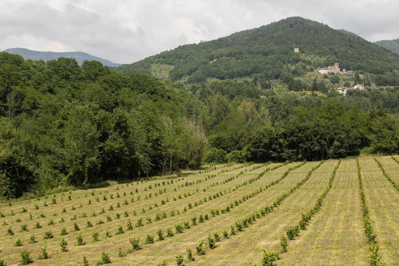 Podere Groppini Фивиццано Экстерьер фото