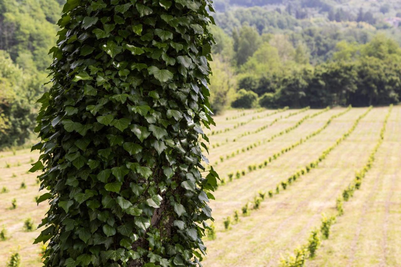 Podere Groppini Фивиццано Экстерьер фото
