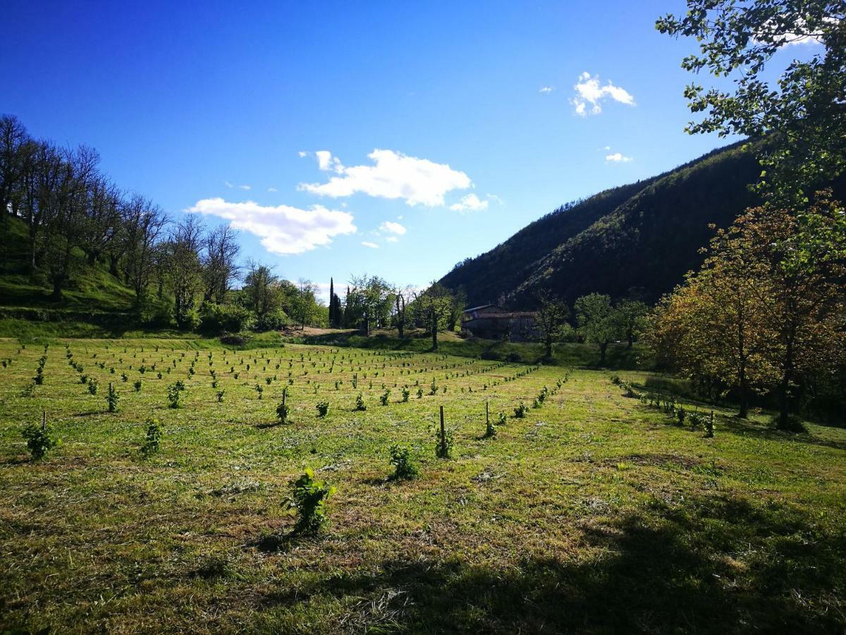 Podere Groppini Фивиццано Экстерьер фото